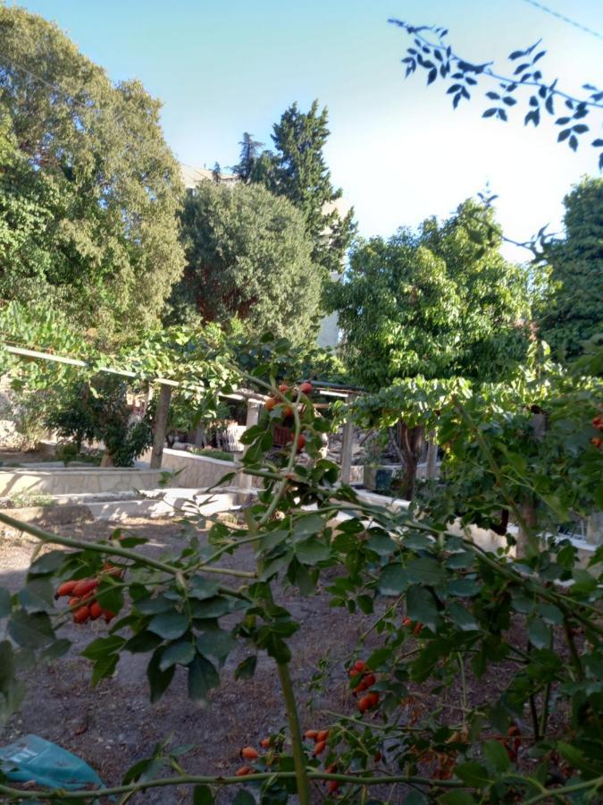 Stone Oasis Vito Apartment Dubrovnik Luaran gambar